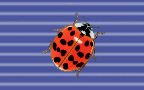 Sidebar foreground